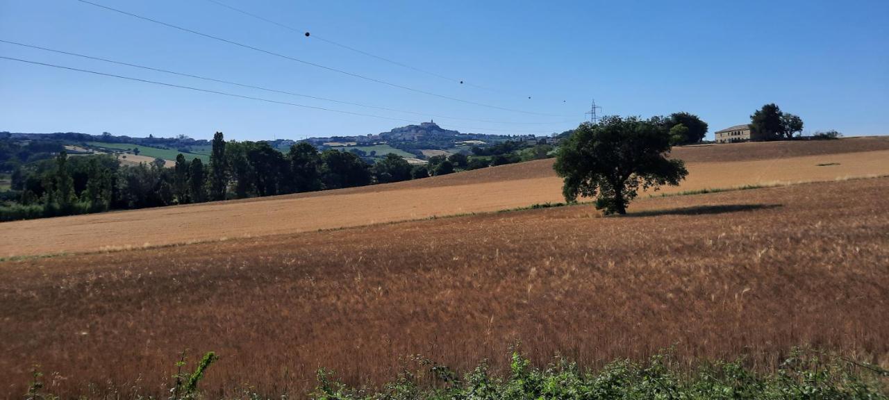 Appartamento In Contesto Esclusivo In Pieno Centro Camerano Kültér fotó